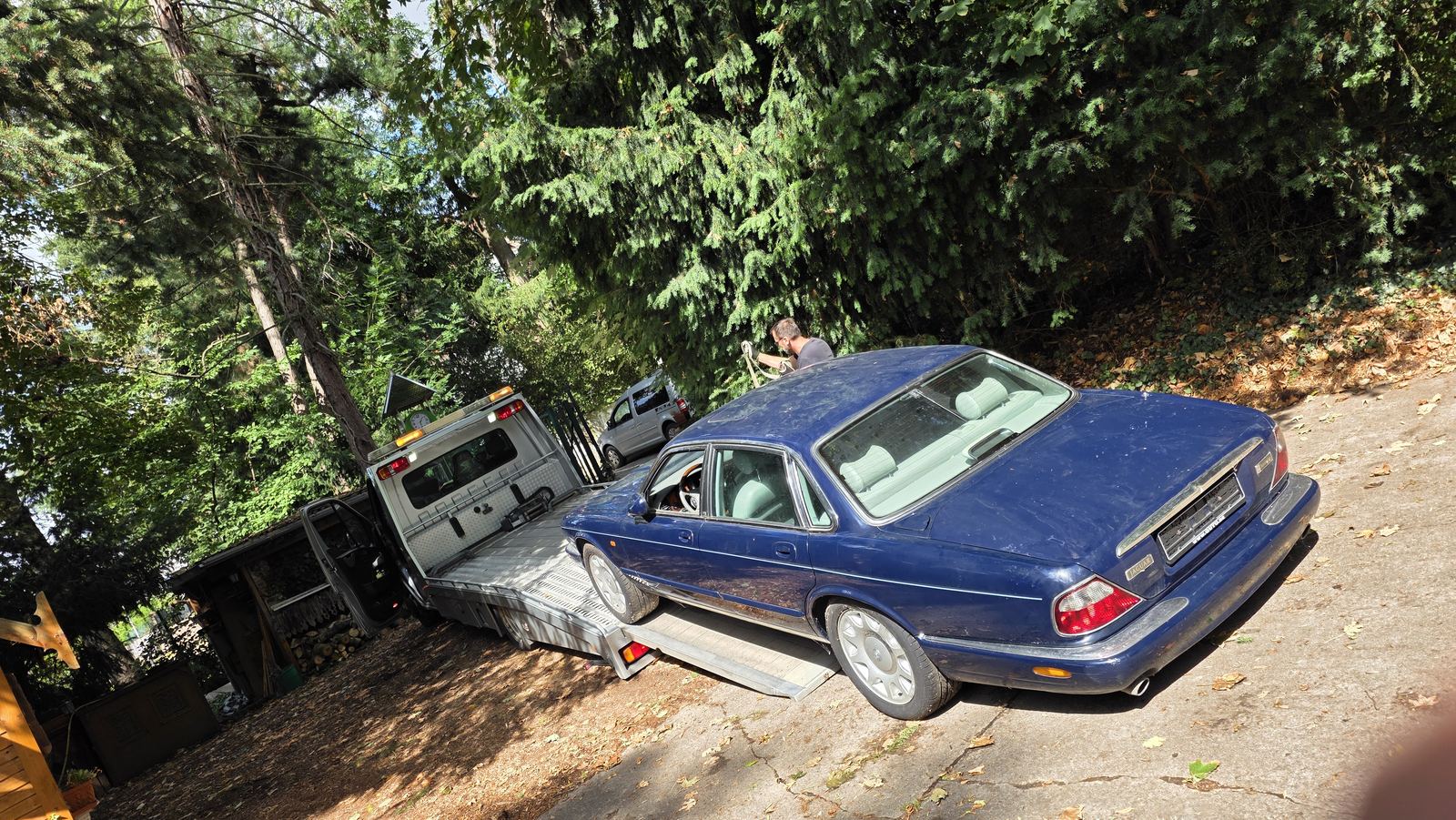 Verladung eines Jaguar über die Rampe